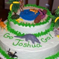 Go, Diego, Go Themed Birthday Cake 