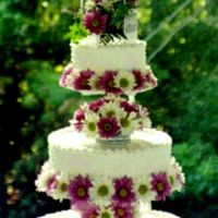 Bekki's Cake 14, 10, 8 round three inch teirs. Buttercreme icing with real daisy's. I made this for my daughter in-law and son's wedding. It...