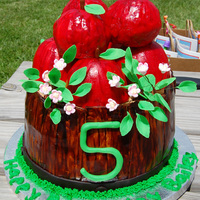 Basket Of Apples Cake was for a birthday party at an apple orchard. The apples are RK covered in fondant and painted. The cake is two 10 inch cakes,...