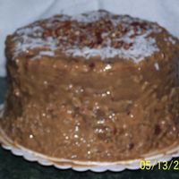 German Chocolate Cake My BIL was craving a German Chocoltae cake, so I made him one. Made the coconut pecan icing myself because I always make my own icings now...