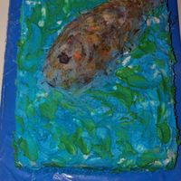 Fish Swimming Just a fish in water