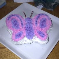 Butterfly Cake Cake I made for my daughters birthday. the white frosting would not stick for some reason, but the top came out ok.