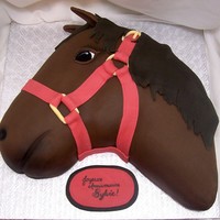 Horse Cake Chocolate cake with creamy coffee buttercream, covered with chocolate fondant.