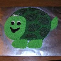 Turtle Cake This is a cake I did for my sister-in-laws baby shower. She loves turtles and really wanted a turtle theme for her baby shower. It is a...
