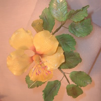 Yellow Hibiscus Gumpaste Flower This is a yellow Hibiscus flower and leaves made by me.