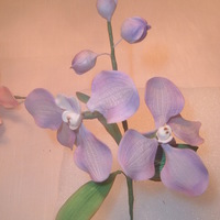 Gumpaste Vanda Orchid This is a gumpaste vanda Orchid made by me. Looks real don't it.