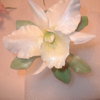 White Cattleya Orchid White Cattleya Orchid made by me.