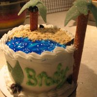 Luau Birthday Cake 4.5 inch, 2 layer "yellow" cake for 1st birthday luau party. BC icing with piping gel ocean and animal cracker sandy beach. Used...