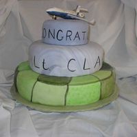 Air Force One This was done for a friend who was retiring from the air force as a Presidential Pilot. It took me forever to come up with a design and in...