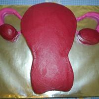 Uterus This Uterus was made for a Nursing student class! It is red velvet cake inside too!