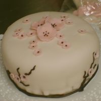 1St Try At Fondant Tasty cinnamon apple cake decorated with fondant. I made this for a practice wedding cake.