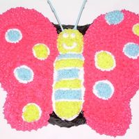 Dscn0902V2.jpg I made this cake for a coworkers niece. The colors match the invitations to the party.