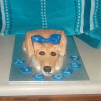 Trixie This cake was for Nicole she wanted a dog cake that looked like her own Collie cross. Took me forever to get the fur colour and texture...
