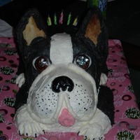 Boston Terrier Cake My granddaughter loves Boston Terriers and I made this cake for her 7th birthday.