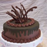 Double Chocolate Fudge 