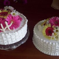 Small Reception Two simple cakes odered for a reception 2 months after the wedding. Buttercream with fresh flowers and Candymelts lettering