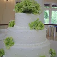Hydrangea Wedding Cake Simple 3-tiered wedding cake. With buttercream dots and fresh green hydrangeas for decoration