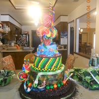 All Things Boy this cake is for a little boy who wanted all things boy candy cake. Camo, fishing, snakes, candy, candy candy, and something messy. Bottom...