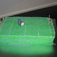 Footy Cake I made this for my 4 yo son, easy, grass was made of sugar