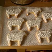 Sheep Cookies... That was a great idea to NOT show the bumpy icing...
