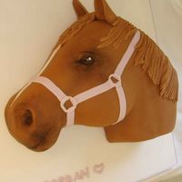 Jordan's Horse Yet another horse cake. Sponge and sugarpaste. Picture taken at an angle to show front of the head.