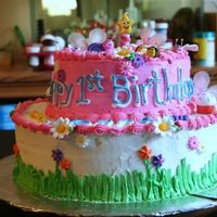 A Bug Of A Birthday This cake was for my 1 year old neice, Sienna. I made bugs out of gumpaste and decorated it with bright fun colors. This was a fun cake!