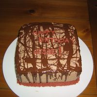 Man Cake! This is a cake for my BIL's birthday. I wanted simple and manly without a "theme". He loves cherry cordials so I went with...