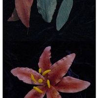 Stargazer_Lily_Mold2.jpg Star Gazer lily made using a mold I made from a Silk lily petal and silicon mold compound. I pressed the gumpaste into the mold and trimmed...