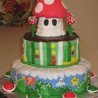 Super Mario Brothers My son has played video games since he could hold a remote. He saw this on a web site as a wedding cake and begged me to make it for his...