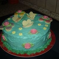 Barunka Cake for my niece she wanted butterflies and loves blue color, anyway not so perfekt but everyone liked, flovers are store buy and rest is white...