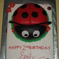 Ladybug Cake White cake covered with BC. Ladybug cake was cooked in a perfectly shaped bowl. Then I cut 1/3 of it for the head portion. Then covered it...