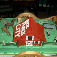 On The Farm / 1St Birthday 