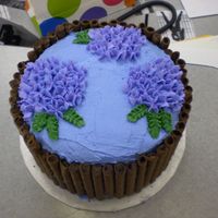 Pirouette Wrapped Hydrangea Cake My first Pirouette wrapped cake. Buttercream Dream icing-hand piped hydrangeas.