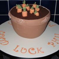 Phil's Pot! Cake made for friend leaving DH's work. He loves his garden & planting, and so I thought this would be fitting for tea & cake...