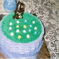 Easter Basket 2" layer half triple chocolate fudge and half yellow. All BC with cadbury mini eggs and chocolate bunny