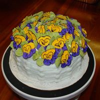 Raffle Cake Disaster I made this cake to raffle off. Unfortunately, I neglected to secure the cake for transport and it slid into the side of the cake box on...