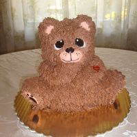 Teddy Bear Cake 