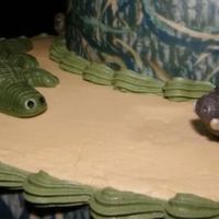 Close Up Of Alligator And Wild Hog 