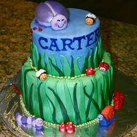 Bug Cake For a 1 year olds first birthday! :)
