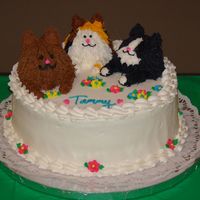 Cat Cake Center Birthday cake for cat lover