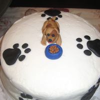 Dog Cake fourth cake I've made. Had a really tough time getting a smooth buttercream... too wet, wouldn't crust, slide off cake. Wound off...