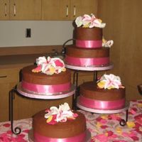 Chocolate Wedding Cake Made this as a wedding present for a friend. She had a beautiful, bright color scheme, including pink, yellow, brown, orange. She wanted...
