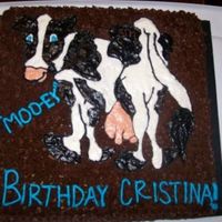 Cow Birthday Cake yellow cake covered in chocolate buttercream. Looked off internet picture to pipe out the cow outline. Couple who ordered cake are huge A&...