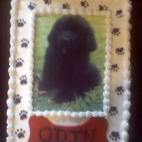 Welcoming Home Cake My friend recently got a new puppy and they were having a "Welcoming Home Party" for him.