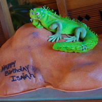 Iguana Birthday Rock cake covered in fondant, and iguana molded from rice krispies and covered in fondant.