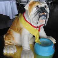Bulldog 3D The main body of this life-size bulldog groom's cake was built upon a wood frame from round layers of cake, with styrofoam for the...