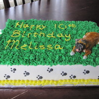 Boxer Cake This cake is decorate in BC with a Boxer dog made from MMF
