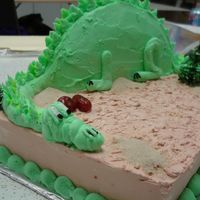 Dinosaur I made this at a cake decorating class i was taking.