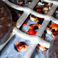 Closeup Of Charcoal Briquets And Hamburgers Charcoal briquets are shards of royal icing from the spare grill grid (which broke, of course) painted with gel food color. Hamburgers are...