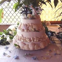 Seashore Wedding This fun cake is one of my most popular designs since I'm located in Florida. The seashells are white chocolate, each hand decorated...